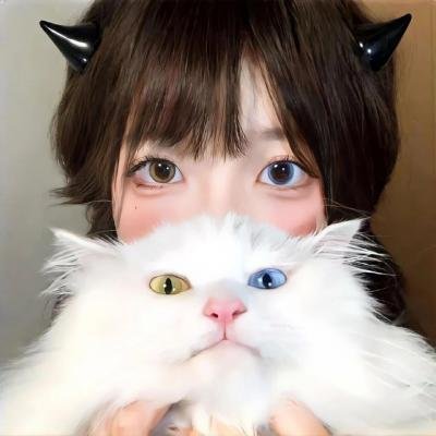 爱在猫咪疗愈时封面